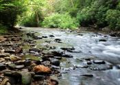 North Mills River, NC