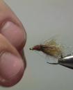 The Classified Caddis Pupa